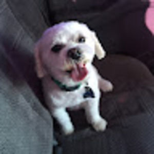 Meet your Posher, I hate my life